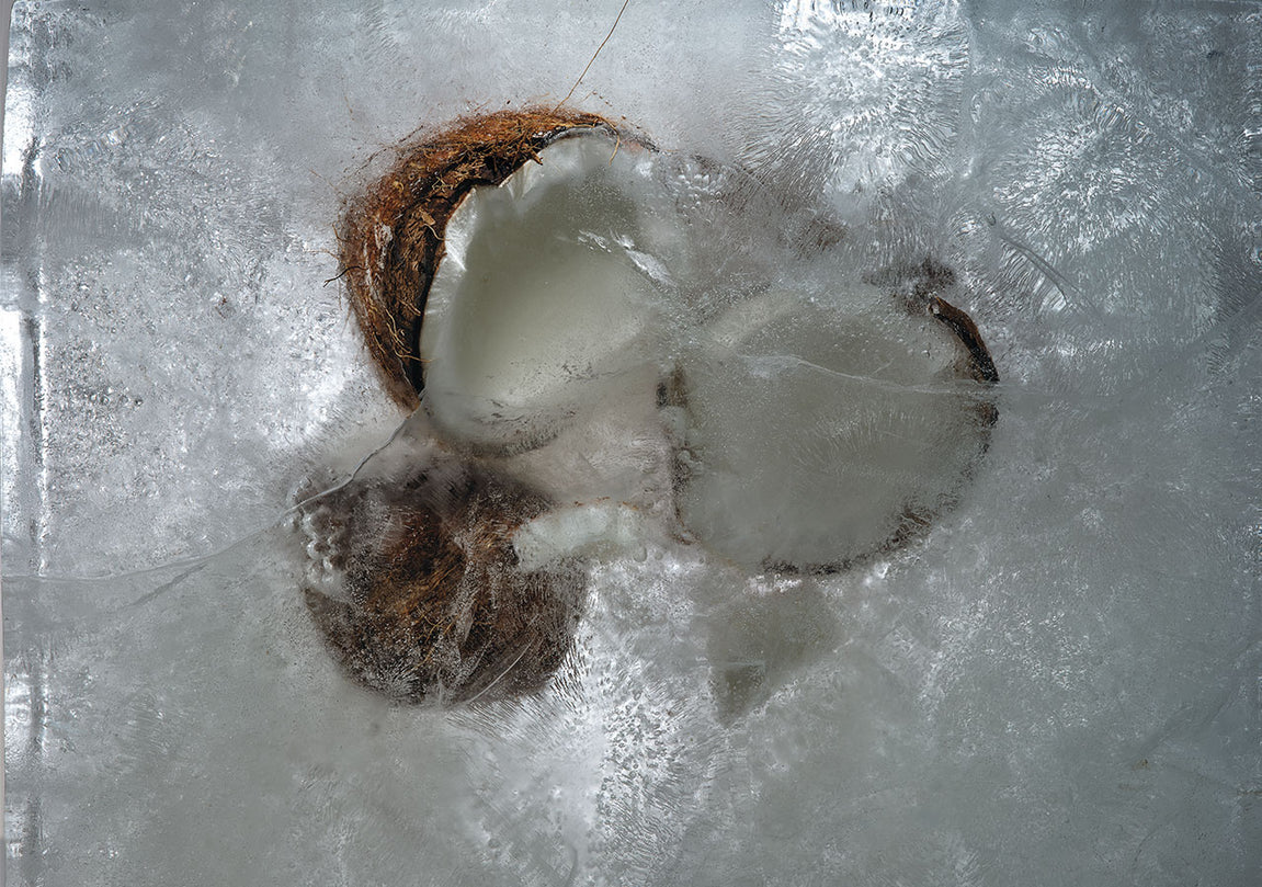 Coconut